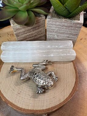 Brighton Frog Magnet 🐸💚